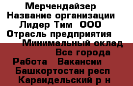 Мерчендайзер › Название организации ­ Лидер Тим, ООО › Отрасль предприятия ­ BTL › Минимальный оклад ­ 17 000 - Все города Работа » Вакансии   . Башкортостан респ.,Караидельский р-н